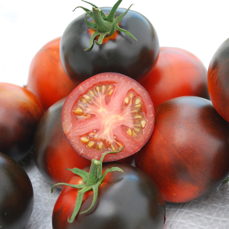 Graines de tomates pomme indigo (biologiques)