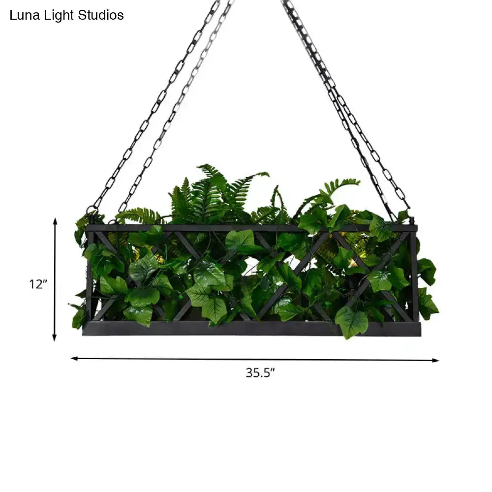 Industrial black rectangular planter with lattice panels, 35.5in wide, 12in tall, greenery on Tampa Home & Garden Store