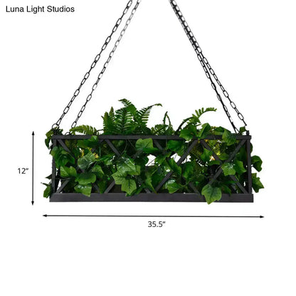 Industrial black rectangular planter with lattice panels, 35.5in wide, 12in tall, greenery on Tampa Home & Garden Store