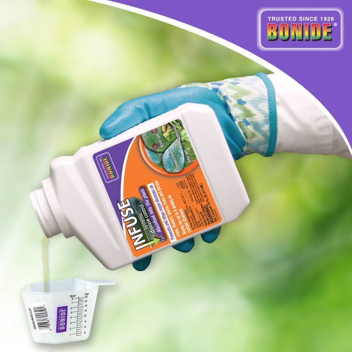 Bonide Infuse systemic plant fungicide concentrate bottle being poured into a measuring cup on Tampa Home & Garden Store