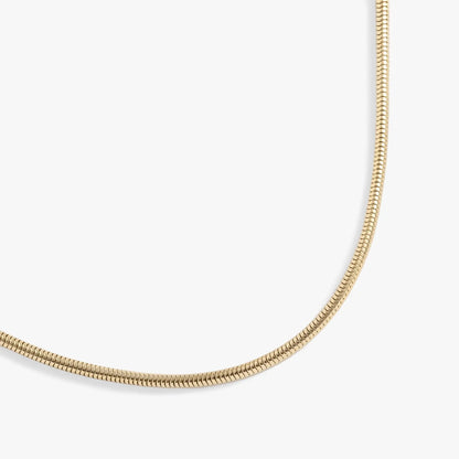 Round Herringbone Charm and Layering Necklace