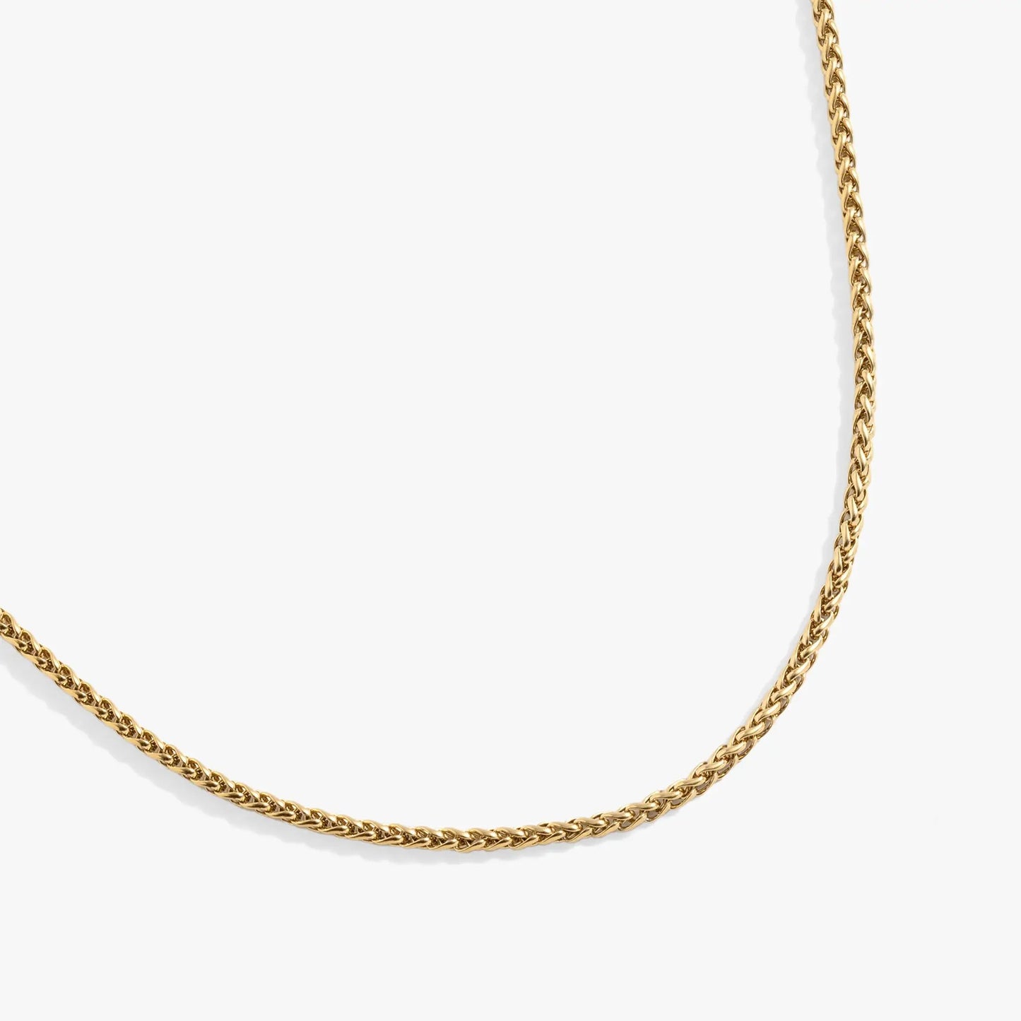 Gold-tone Wheat Chain Necklace by ALEX AND ANI with thick curb-link chain on Tampa Home & Garden Store