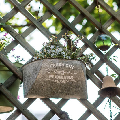 Iron Flower Wall Planter RusticReach, weathered metal finish, mounted on lattice on Tampa Home & Garden Store