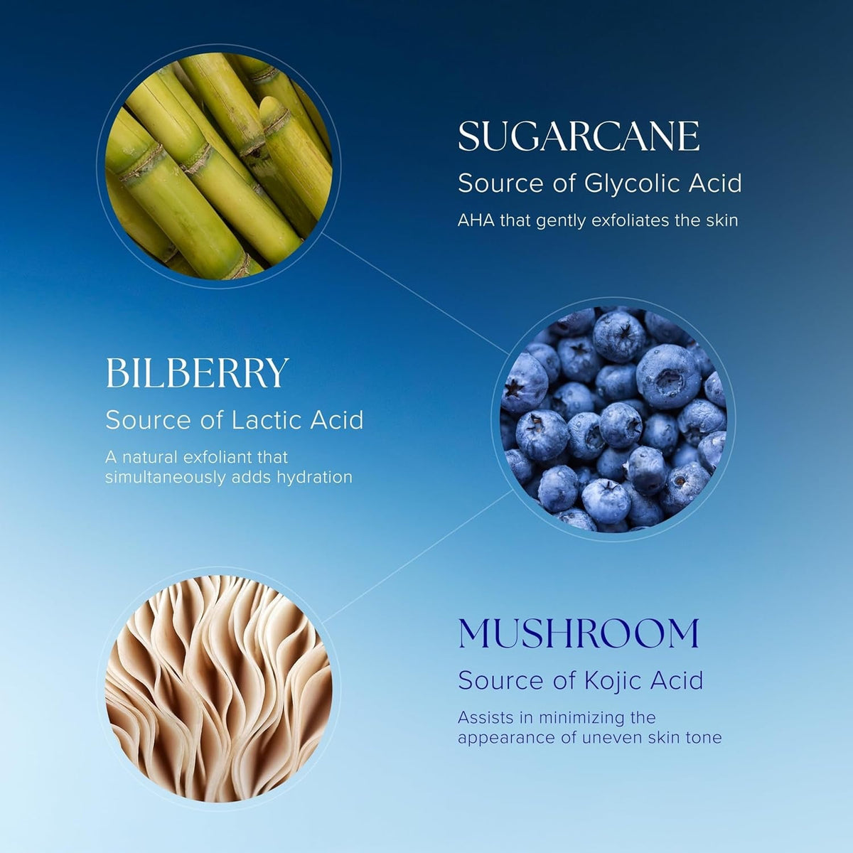 iS Clinical Active Serum 15 mL skincare serum sugarcane bilberry mushroom Nava Beauty on Tampa Home & Garden Store