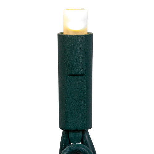 50-Light 5mm Warm White Frosted LED green-wire light set by The Country Christmas Loft on Tampa Home & Garden Store