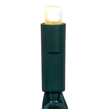50-Light 5mm Warm White Frosted LED green-wire light set by The Country Christmas Loft on Tampa Home & Garden Store