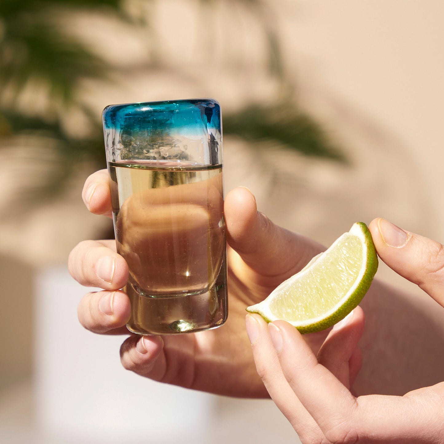 Segunda Vida Tequila and Shot Glasses Set of Four