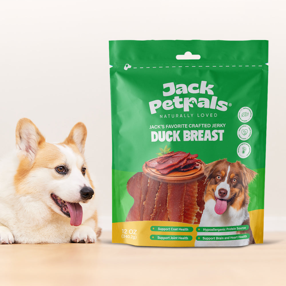 Friandises pour chiens Jack PetPals à base de poitrine de canard séchée artisanale (340 g)