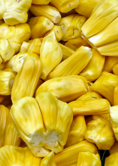 Jackfruit Tree 'Golden Nugget' (Artocarpus heterophyllus)