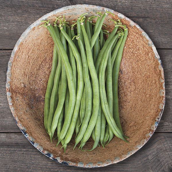 Jade Bush Bean pods, about 14 long green bush beans in a rustic ceramic bowl on Tampa Home & Garden Store