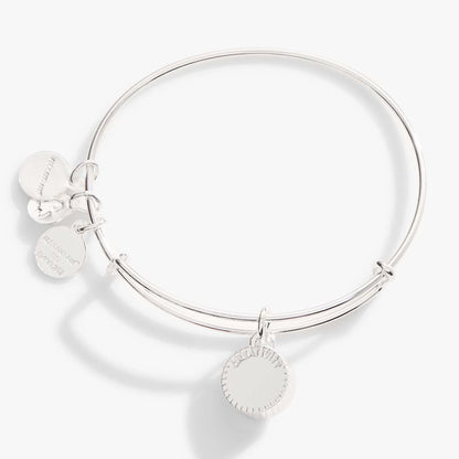 January Birthstone Charm Bangle Scarlet by ALEX AND ANI, bracelet with disc charms on Tampa Home & Garden Store