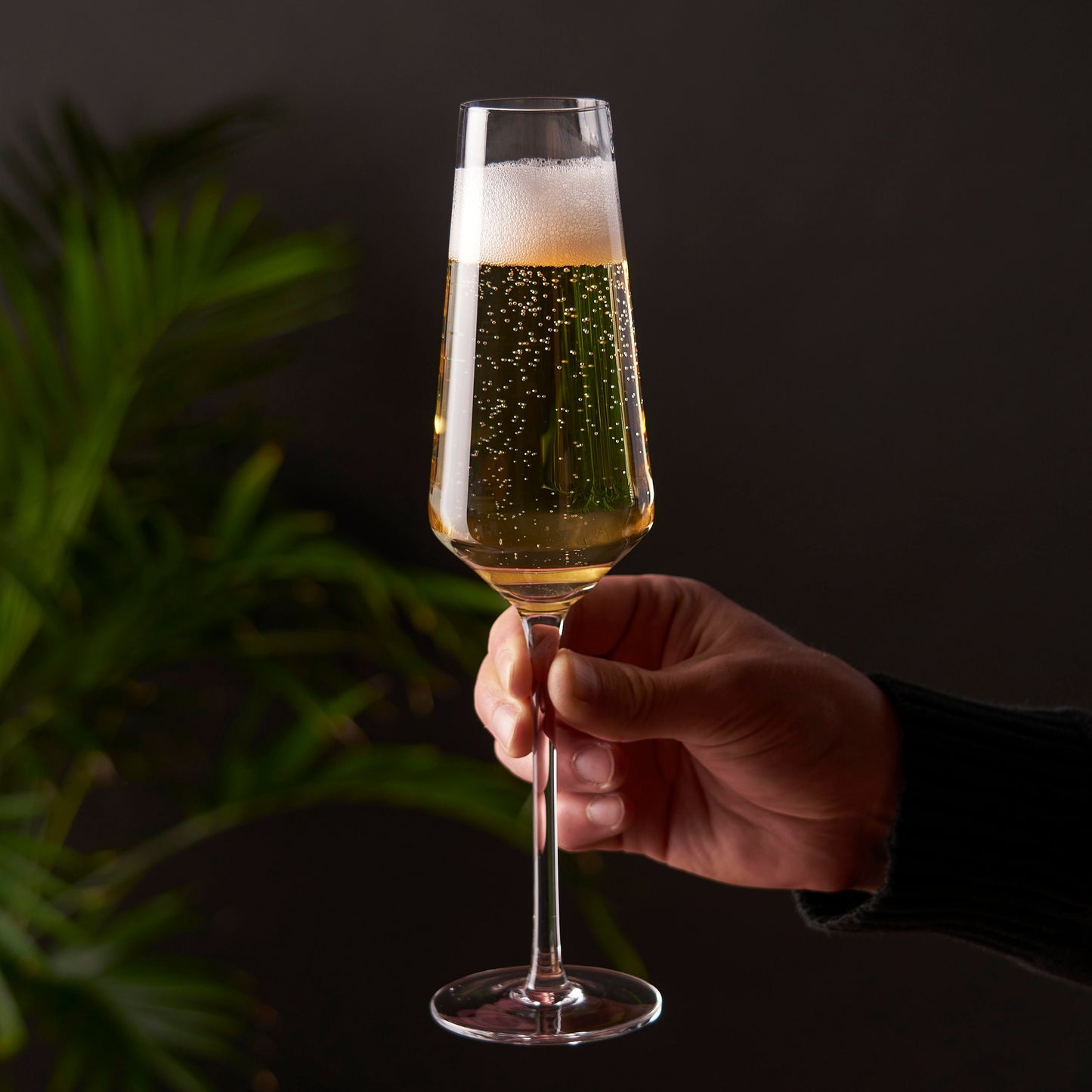 Raye Angled Crystal Champagne Flutes Set of Two