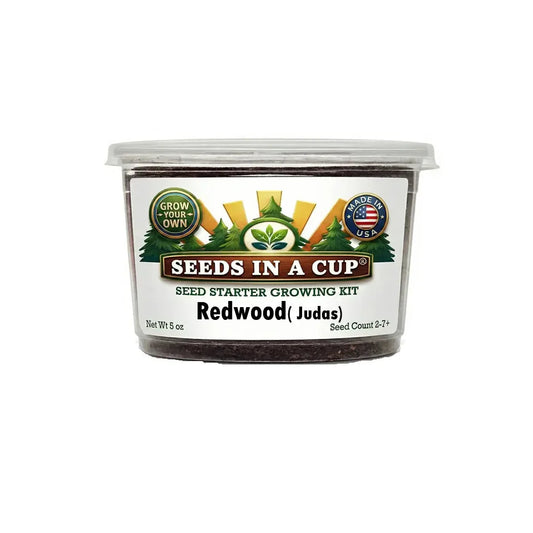 Kit de cultivo de árbol de Judas
