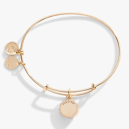 Radiant July Birthstone Charm Bangle Ruby