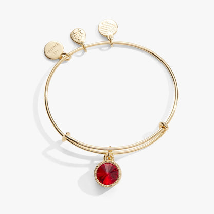 Radiant July Birthstone Charm Bangle Ruby