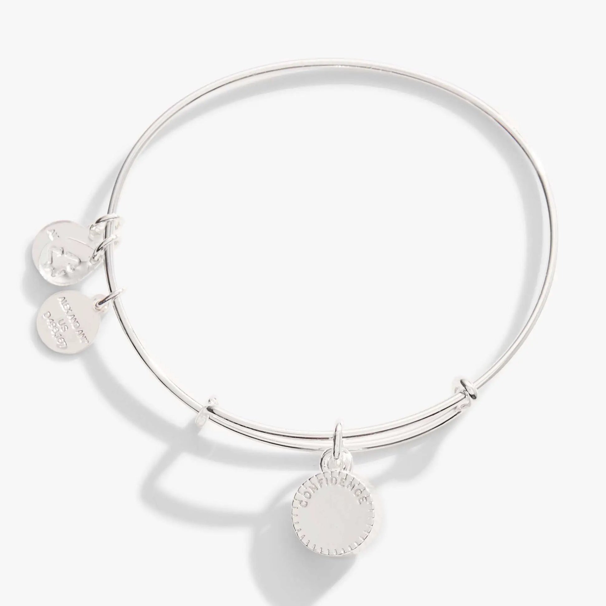 June Birthstone Charm Bangle Light Amethyst, silver-tone Alex and Ani bracelet with disc charms on Tampa Home & Garden Store
