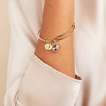 June Birthstone Charm Bangle, Light Amethyst on gold-tone Alex and Ani charm bracelet on Tampa Home & Garden Store