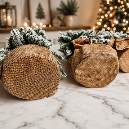 Sapins de Noël enneigés NOUVEAU