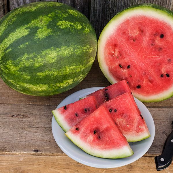 Crimson Sweet watermelon with red flesh and seeds, one whole fruit with sliced wedges on Tampa Home & Garden Store