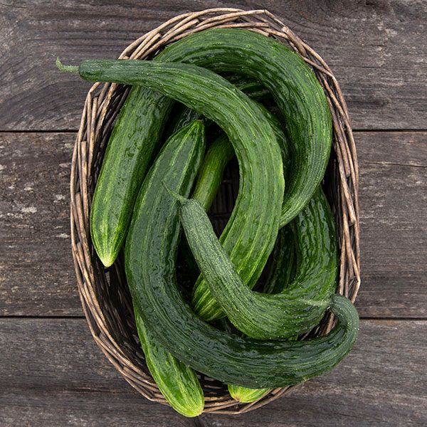 Suyo Long cucumber fresh, dark green curved cucumbers in a wicker basket on wood on Tampa Home & Garden Store