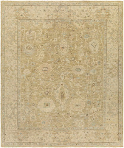 Karalee Handmade Wool Area Rug beige-taupe with light blue accents, oriental motif by Boutique Rugs on Tampa Home & Garden Store