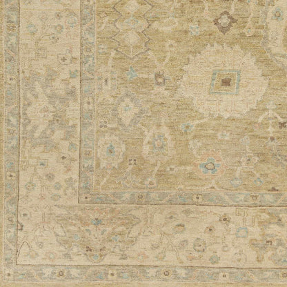 Karalee Wool Area Rug by Boutique Rugs in beige with faded medallion and pale blue accents on Tampa Home & Garden Store