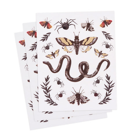 Pegatinas decorativas de Halloween de Martha Stewart Crafts - Insectos
