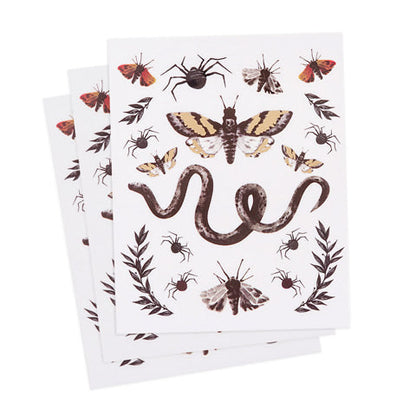 Pegatinas decorativas de Halloween de Martha Stewart Crafts - Insectos