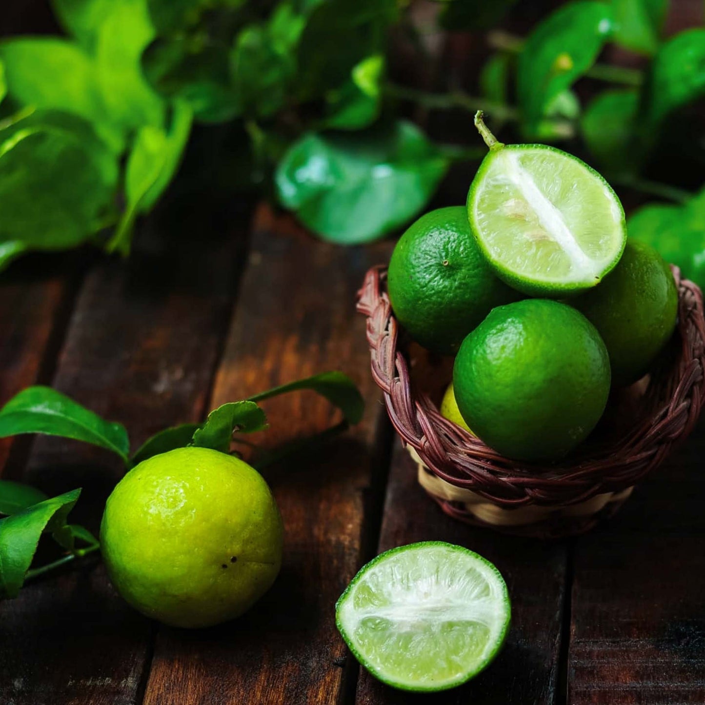 Key Lime Bush plant with bright green limes and halved lime fruits in a basket on Tampa Home & Garden Store