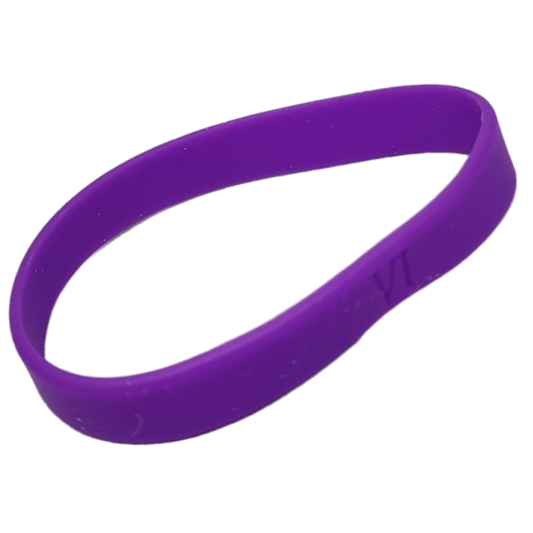 Silicone Wrist Bands - Tub of 36 - Purple - Tampa Home & Garden Store