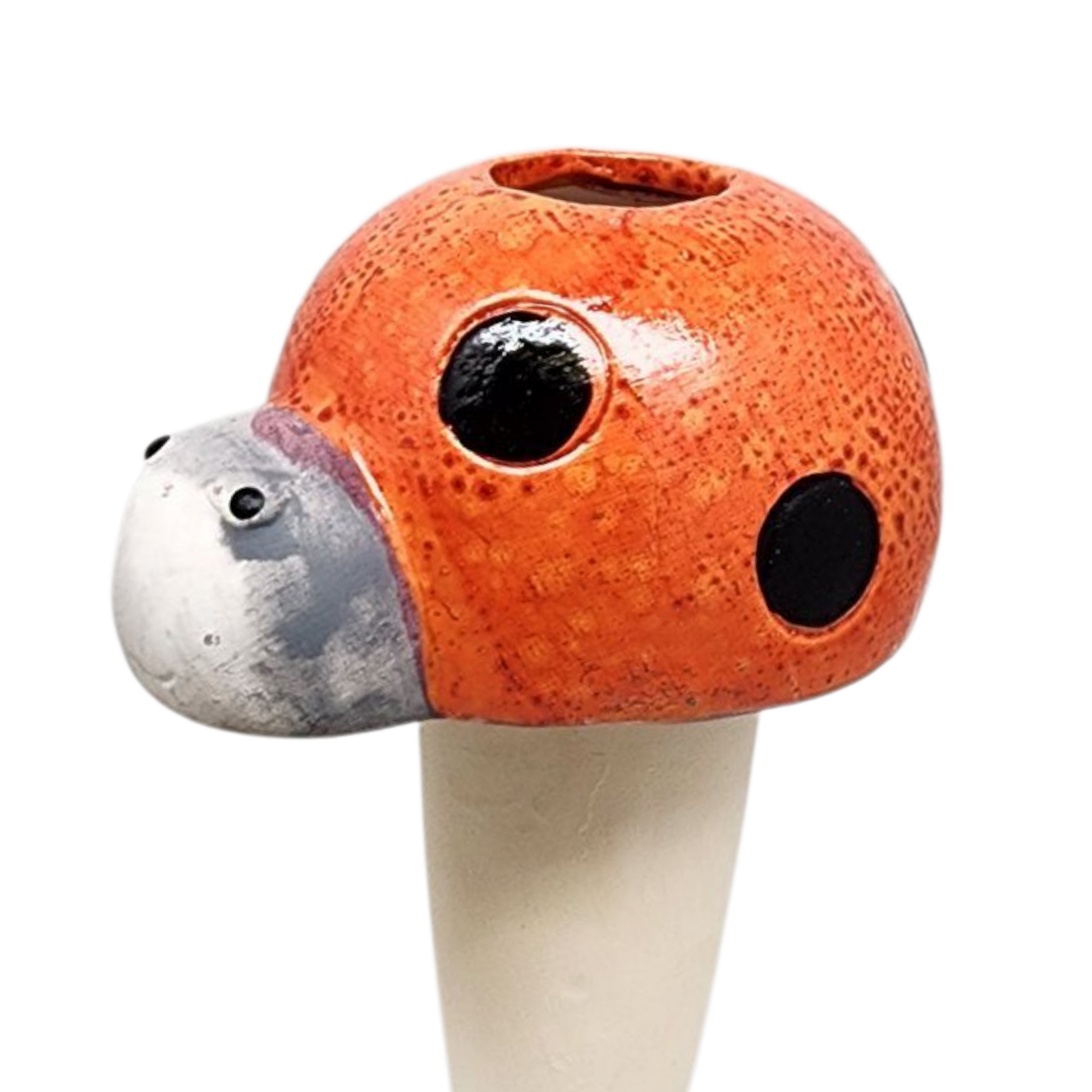- image on Tampa Home & Garden Store