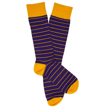 LA Mixed 4-Pack Bundle Team Colorways socks by DeadSoxy, purple with gold stripes on Tampa Home & Garden Store