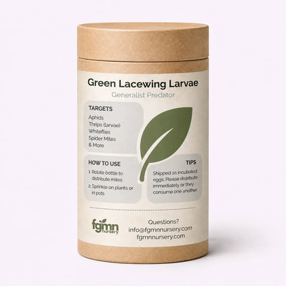 Green Lacewing Larvae aphid control jar by FGMN Nursery, pest prevention product on Tampa Home & Garden Store