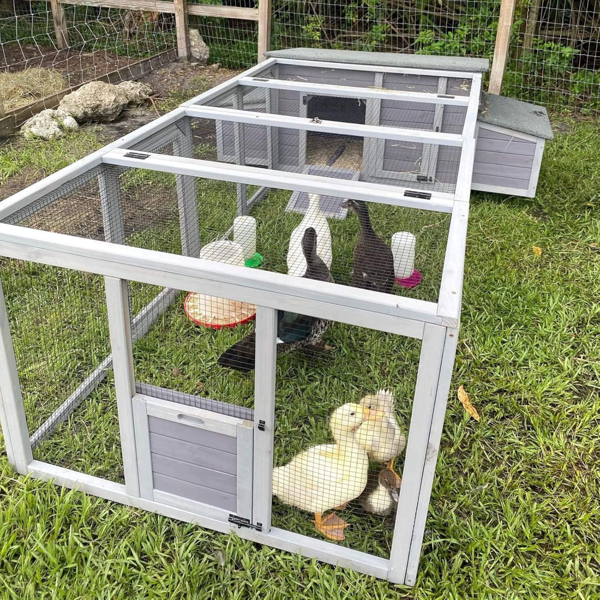 Large 103-inch chicken coop with run and nesting box, gray wood and wire mesh enclosure on Tampa Home & Garden Store