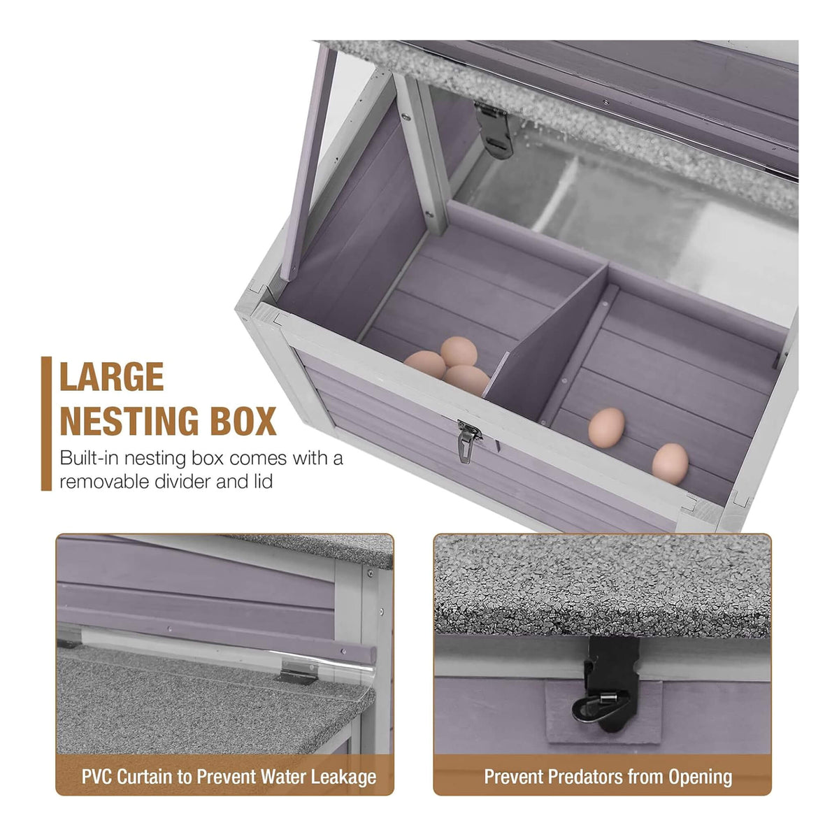 Large purple nesting box interior of an outdoor chicken coop with eggs visible and metal latch on Tampa Home & Garden Store