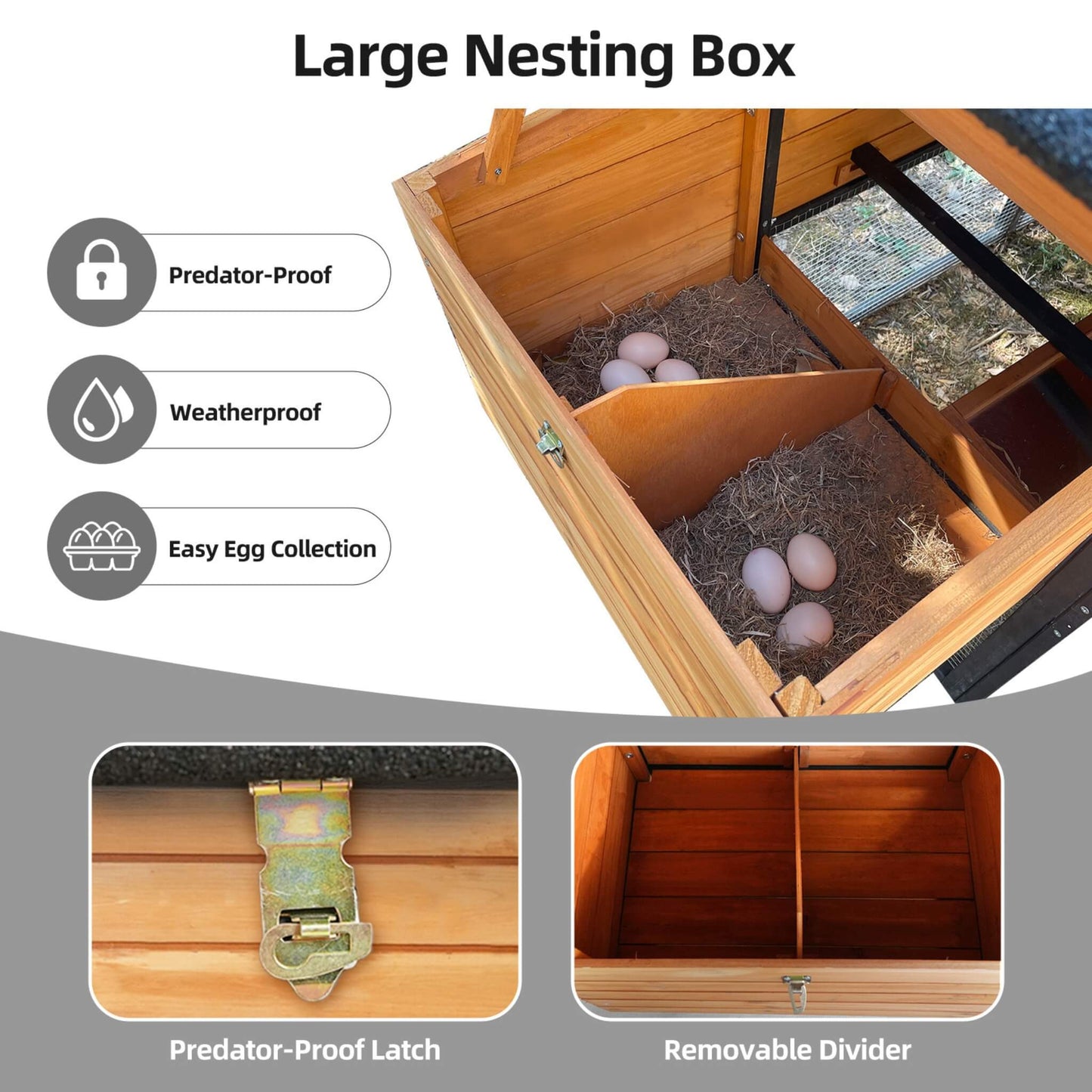Large outdoor wooden chicken coop with run and nesting box, predator-proof latch on Tampa Home & Garden Store