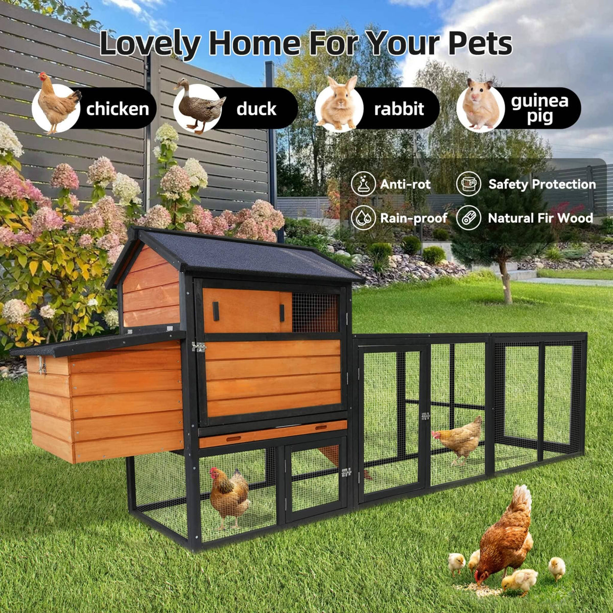 Large 114-inch wooden chicken coop with run and nesting box, black frame and chickens on Tampa Home & Garden Store