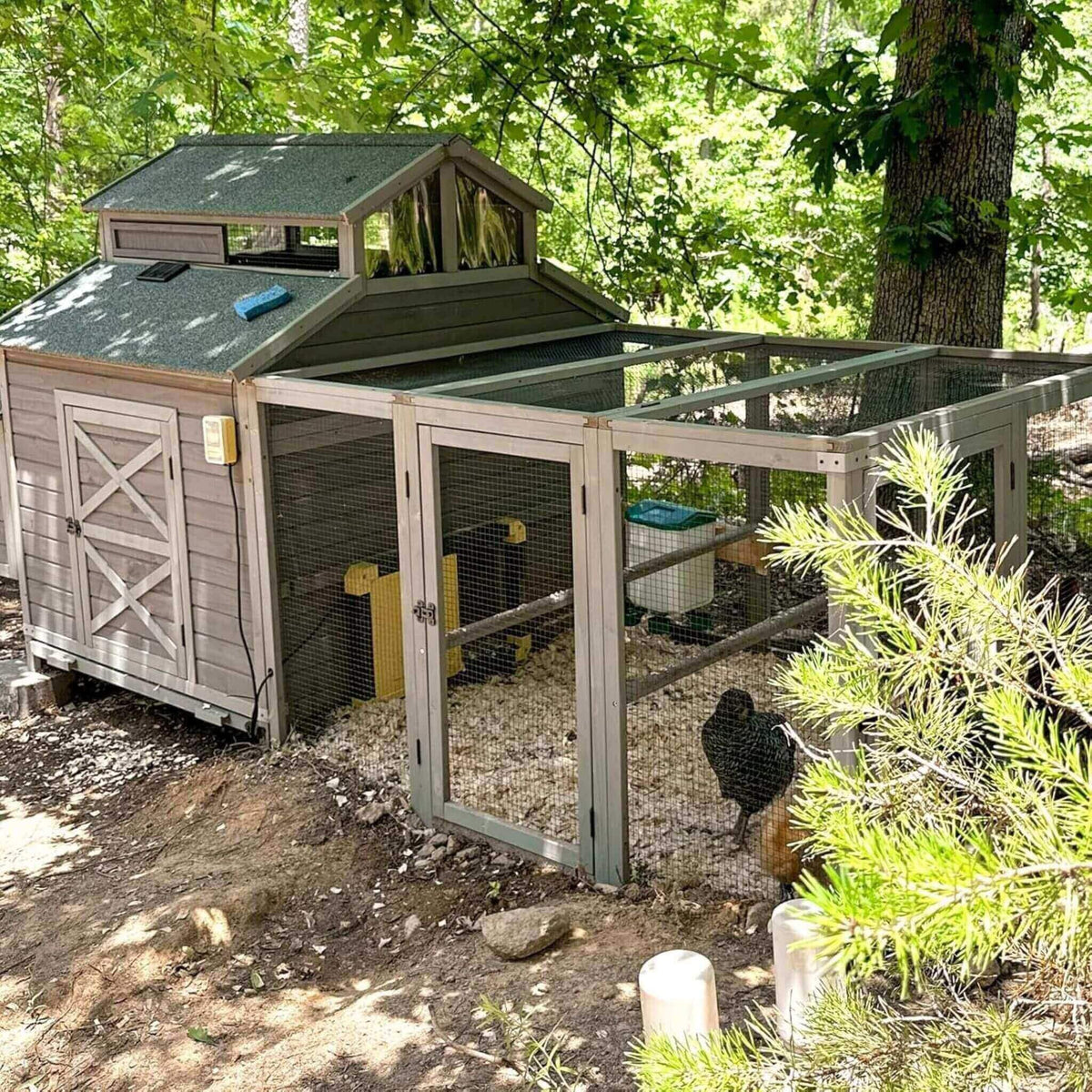 Large 115-inch portable chicken coop with run and nesting boxes by SAKSBY WHOLESALE on Tampa Home & Garden Store