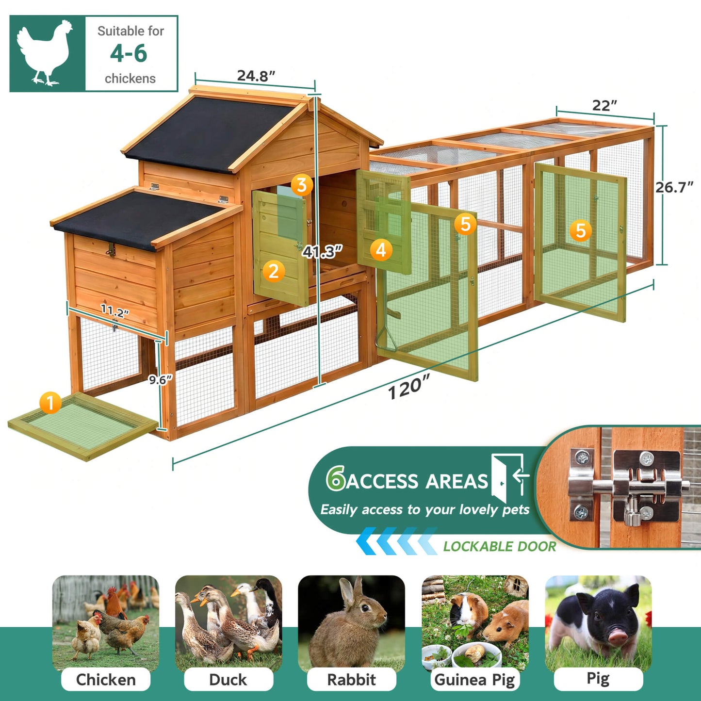 Large wooden chicken coop with run for 4-6 hens, nest box and tray by SAKSBY WHOLESALE on Tampa Home & Garden Store