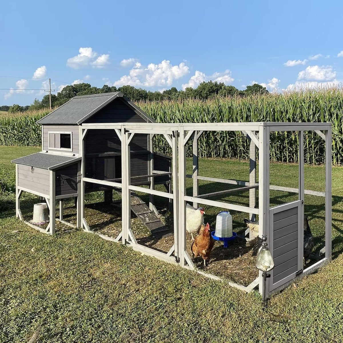 Large 137-inch wooden chicken coop with run and wire mesh, gray siding, chickens nearby on Tampa Home & Garden Store