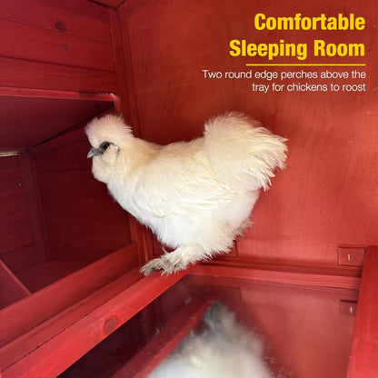 Large 73-Inch Portable Chicken Coop interior with red wood walls and white chicken on roosts on Tampa Home & Garden Store