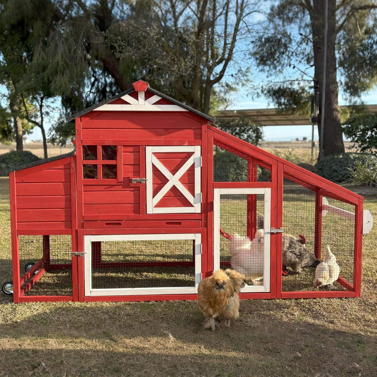 73-Inch Portable Chicken Coop With Wheels And Nesting Box red wooden coop trim by SAKSBY on Tampa Home & Garden Store