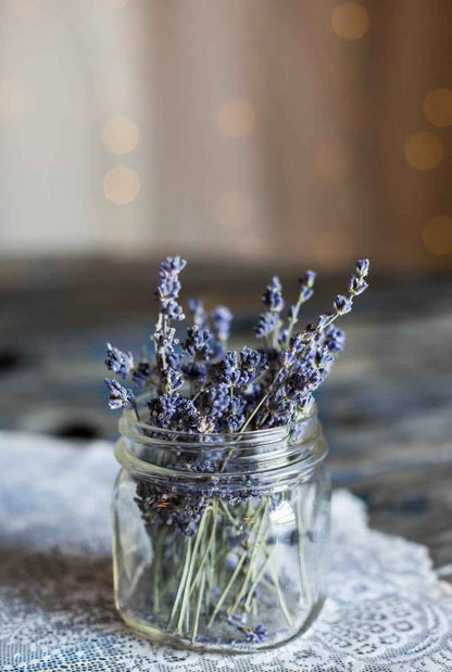 Lavender Seeds