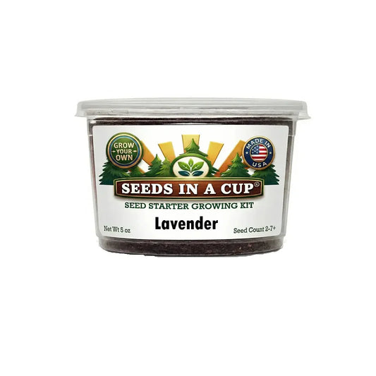 Kit de culture de lavande