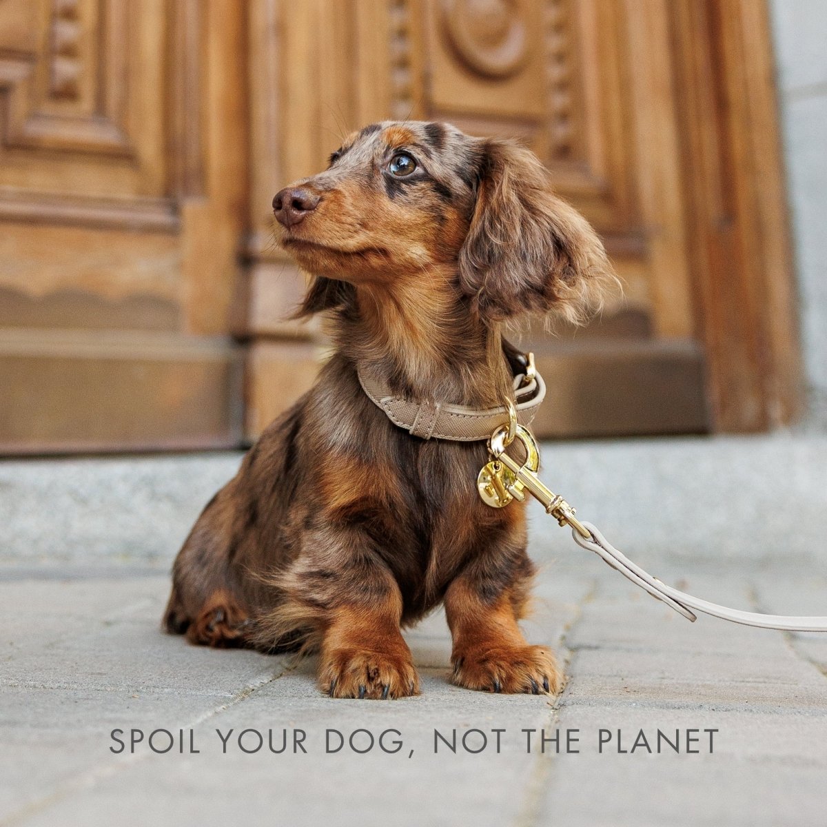 Leash 4ft - Vegan Leather