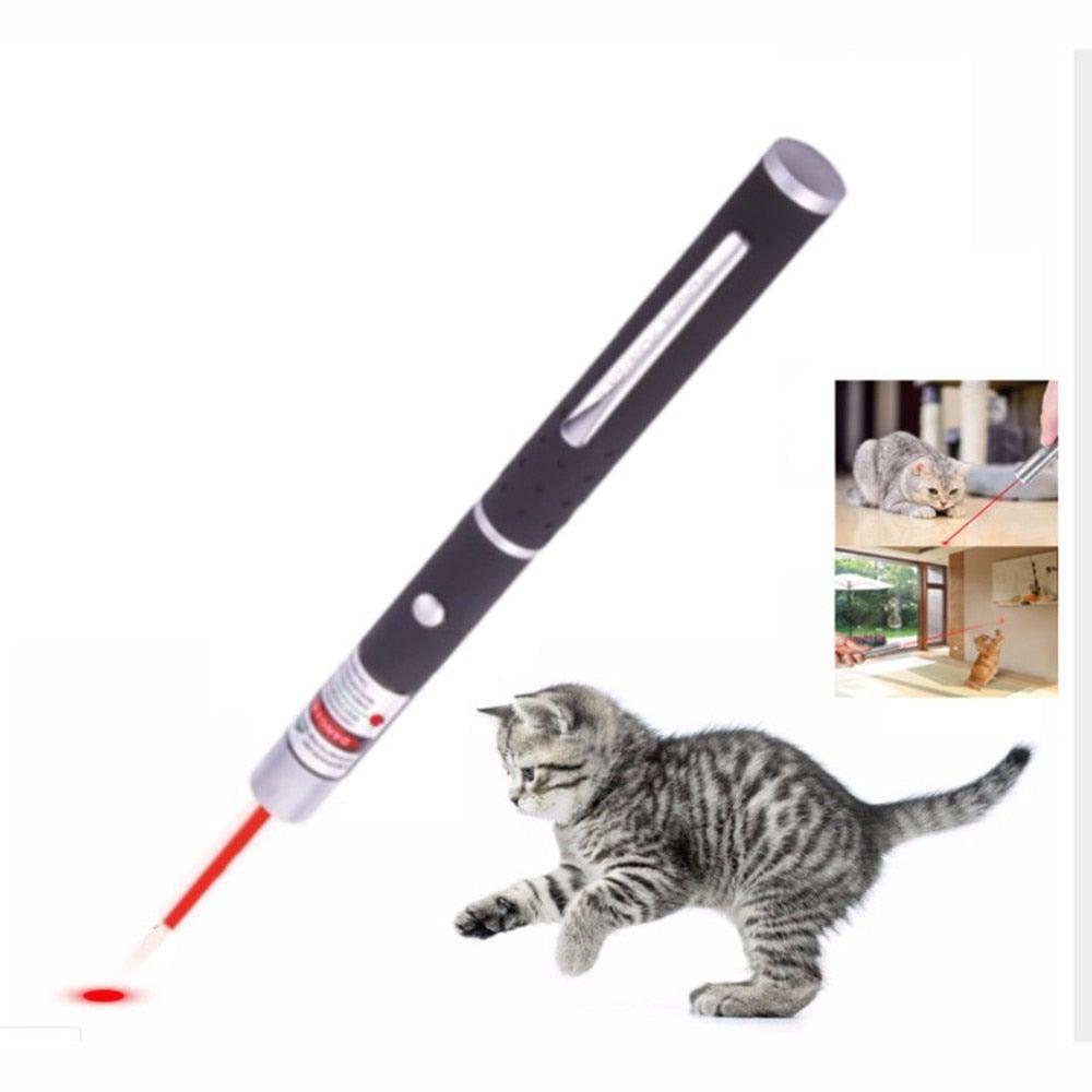 Stevvex LED laser cat toy pen emits red dot; black handheld pet pointer for indoor play on Tampa Home & Garden Store