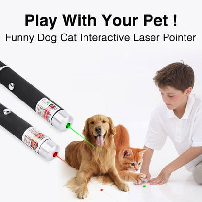 Stevvex LED laser pointer cat toy with two black pens emitting red and green beams for pets on Tampa Home & Garden Store
