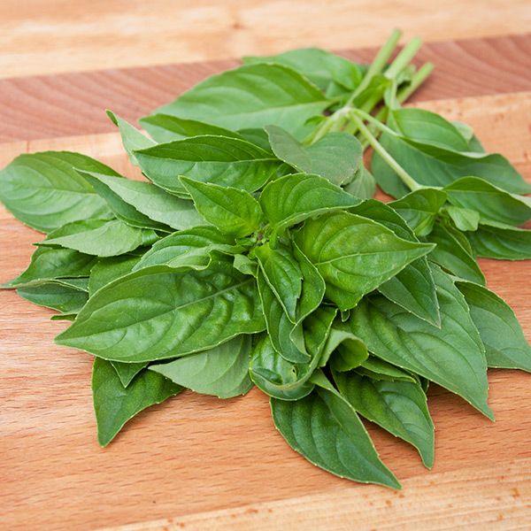 Lemon Basil leaves fresh green on a wooden cutting board on Tampa Home & Garden Store