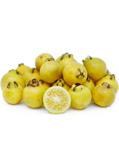 Guava Tree, Lemon Guava (Psidium littorale)