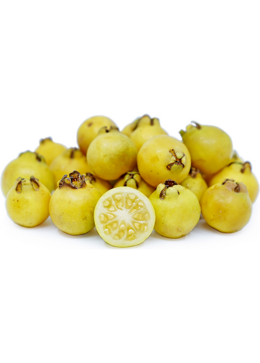 Guava Tree, Lemon Guava (Psidium littorale)